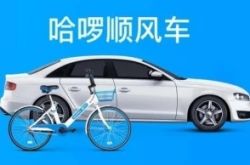 （6分钟教程）厦门企业咨询管理_哔哩哔哩-2